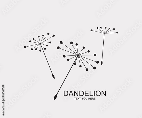 Dandelion flower logo simple creative template on white background . Vector design