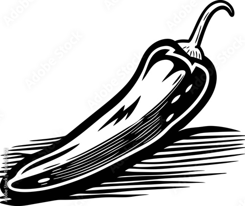 Hand drawn jalapeño pepper isolated in vintage engraved black and white illustration