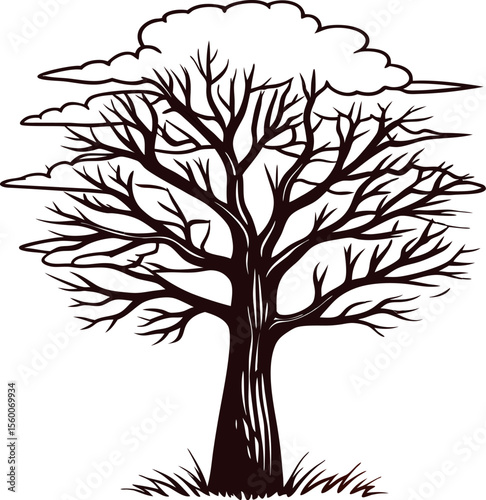 Leafless deciduous tree with bare branches and cloud outline, hand drawn engraving illustration