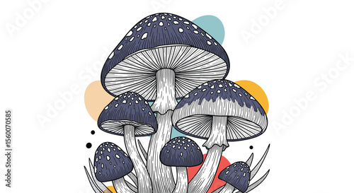 A Botanical Illustration of a Collection of Various Species of Mushrooms with Decorative Elements