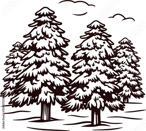 Hand drawn winter pine trees covered with snow, natural woodland landscape sketch illustration