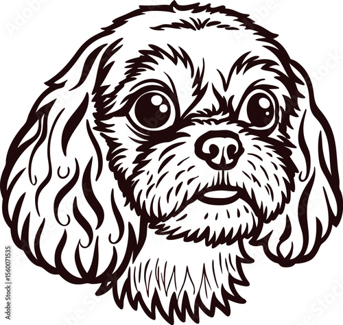 Hand drawn detailed illustration of small fluffy dog face in vintage engraved isolated on white background