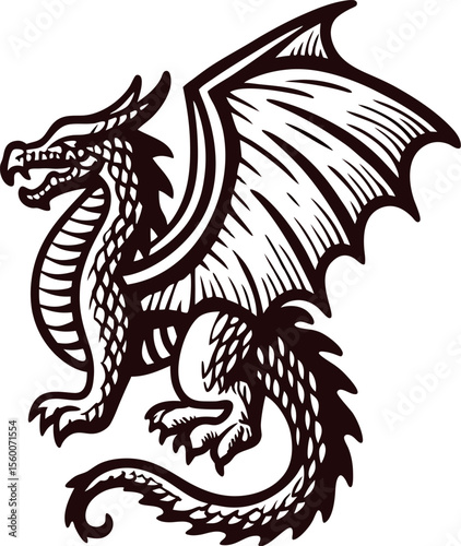 Detailed black and white illustration of a fierce mythical dragon with wings curled tail and scales in vintage engraving