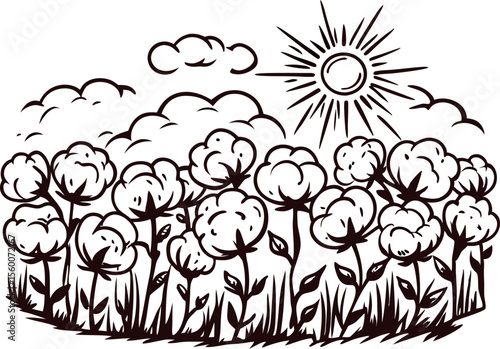 Hand drawn cotton plant field with sun and clouds illustration in vintage engraved