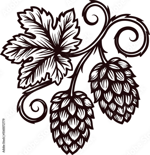 Vintage hand drawn illustration of hop plant branch with cones and leaves isolated on white background