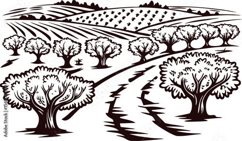 Hand drawn olive tree grove field landscape with winding road and distant hills, vintage engraved illustration