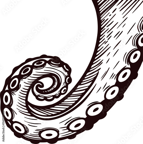Vintage tentacle illustration in hand drawn engraved with curled arm and suction cups