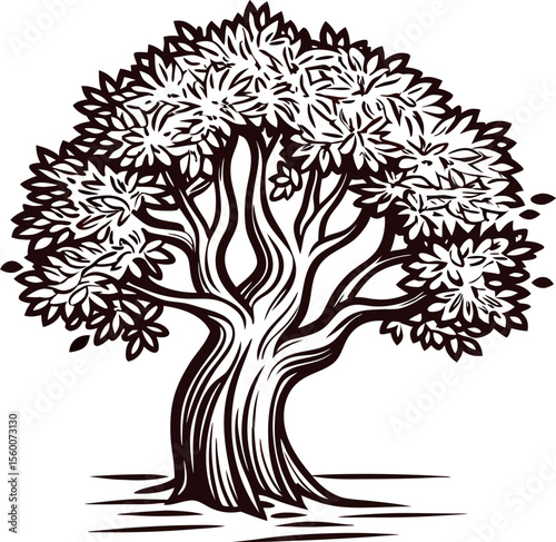 Vintage hand drawn tree illustration with lush foliage and detailed trunk, engraved woodcut on white background