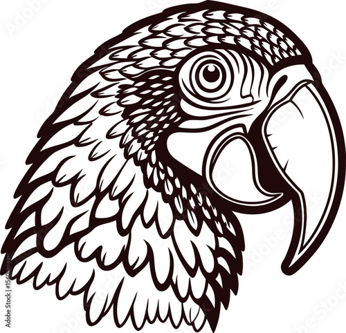 Hand drawn illustration of parrot head in vintage engraved with detailed feathers and curved beak
