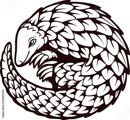 Decorative hand drawn pangolin curled in circular pose with detailed scales isolated on white background illustration