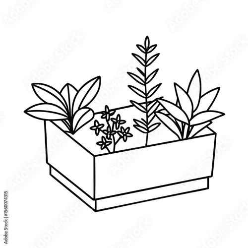 Herbal planter box with labeled mint rosemary and basil Vector illustration