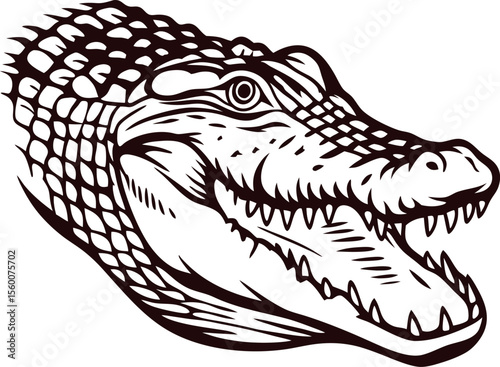 Detailed hand drawn alligator head illustration with open mouth and visible teeth in vintage engraved
