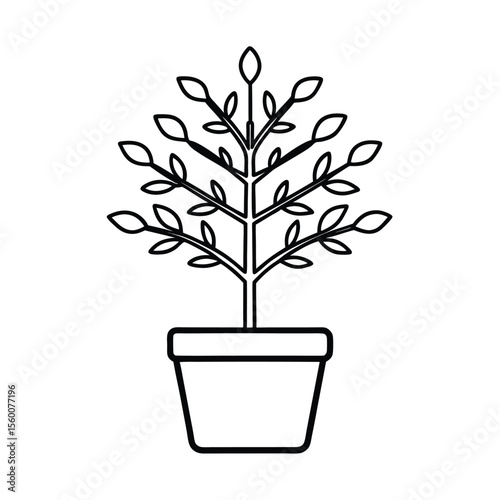 Grafted plant diagram with labeled stem and root growth Vector illustration