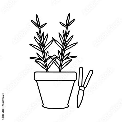 Potted rosemary beside scissors and labeled plant tag Vector illustration