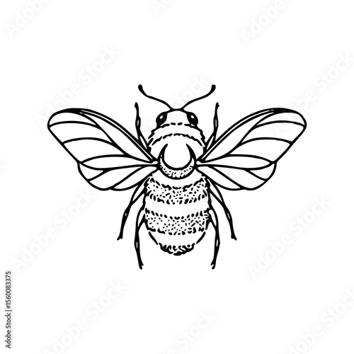stylized outline bee design