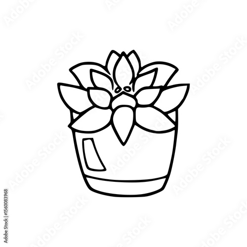 cute succulent plant in pot illustration