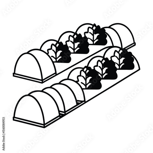 Cloche covers placed over young lettuce in straight row Vector illustration