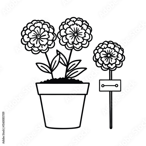 Potted marigolds with plant name sign and gardening gloves Vector illustration