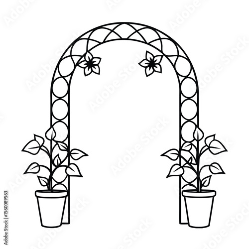 Morning glory vines climbing across twin garden planters Vector illustration