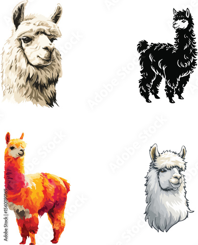 Llama animal collection vector illustration design