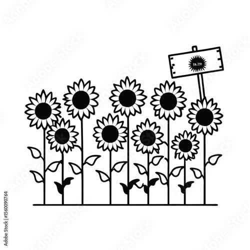 Sunflowers planted in row with signboard at garden edge Vector illustration