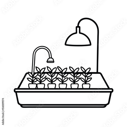 Microgreens setup with lamp and tray on tabletop Vector illustration