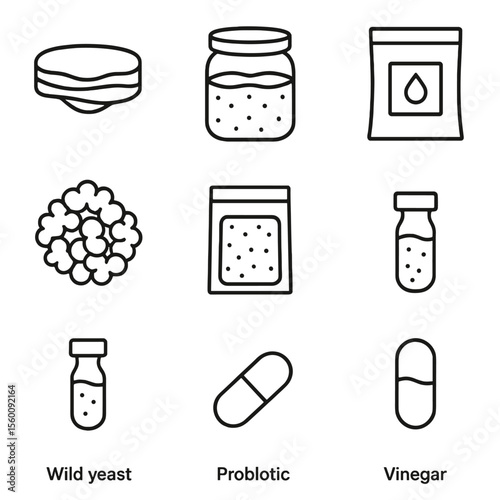 Fermentation Culture Icons. Line style icons of Starter Culture Collection: kombucha SCOBY, sourdough starter jar, yogurt culture