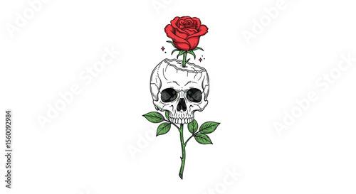 The Intersection of Life and Death A Rose Blooming Atop a Skull