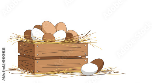 Farm Fresh Egg Storage Solution and Preservation Techniques with Organic Hay and Wood Crate