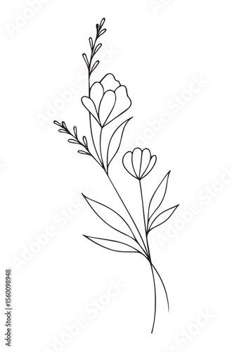 Isolated black and white tree branch with leaves, a botanical spring decoration