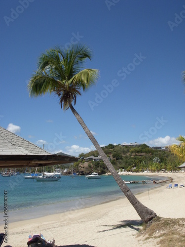 Wedding-themed image with romantic and decorative elements