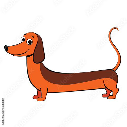 A charming dachshund stretching its long body, isolated on a clean white background, a happy and playful dog.