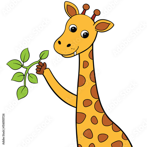 A gentle giraffe reaching gracefully for leaves, on a plain white background, a tall and elegant African animal.