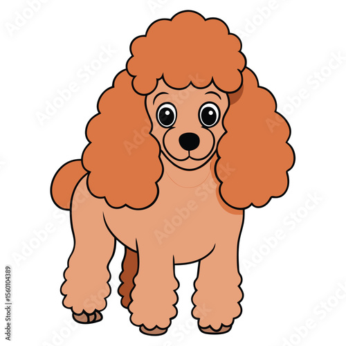 A elegant poodle with freshly groomed, fluffy fur, standing gracefully on a plain white surface, a stylish dog.