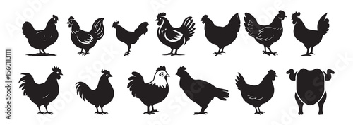 Chicken Silhouette Set – Hens in Various Poses Vector Collection. vector illustration