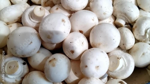 Dense cluster of fresh white button mushrooms filling the frame, displaying smooth caps, earthy tones, culinary ingredient concept, healthy eating, fungus, vegetarian.