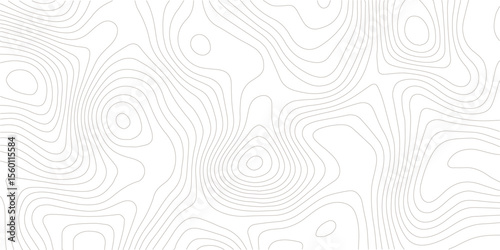 White wave paper curved reliefs abstract background. Vector geographic contour map, Abstract topographic contours map background, Topography map background. 