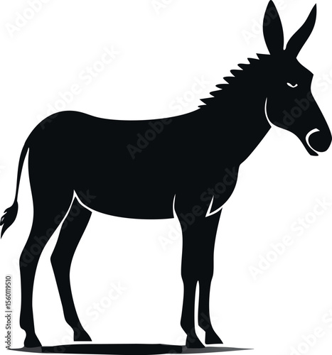 donkey vector illustration.