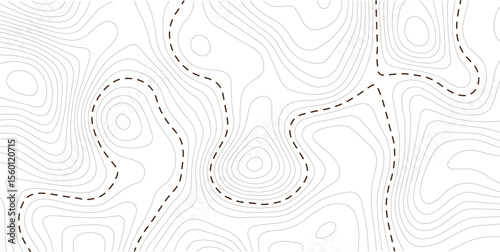Abstract topographic contours map background. White wave paper curved reliefs abstract background. Vector geographic contour map, Topography map background. 