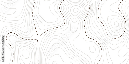 Abstract topographic contours map background. White wave paper curved reliefs abstract background. Vector geographic contour map, Topography map background. 