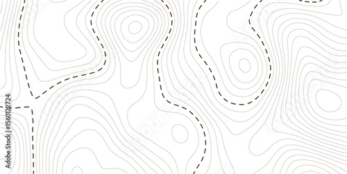 Abstract topographic contours map background. White wave paper curved reliefs abstract background. Vector geographic contour map, Topography map background. 