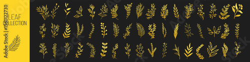 Gold botanical leaf and floral vector set on transparent background.