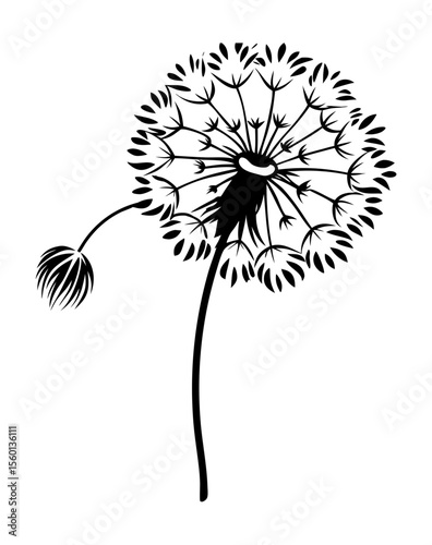 vector of a dandelion puff with white seed head and stalk, airy and light details, isolated on white background
