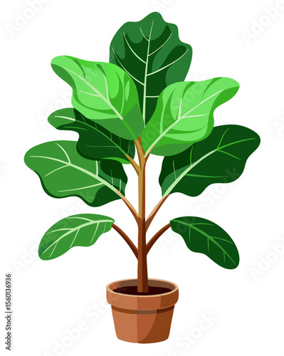 vector of a fiddle leaf fig plant with broad, veined green leaves and woody stem, isolated on white background
