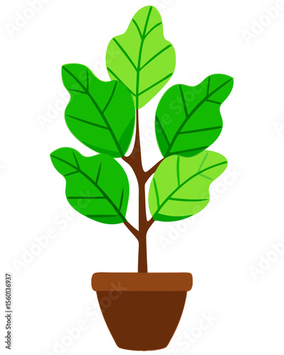 vector of a fiddle leaf fig plant with broad, veined green leaves and woody stem, isolated on white background
