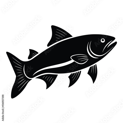 Steelhead fish silhouette vector on white background