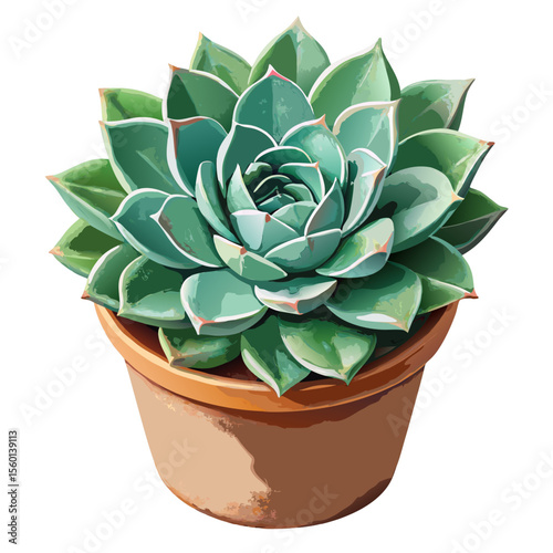 vector of a succulent in a terracotta pot with thick green leaves in radial pattern, isolated on white background
