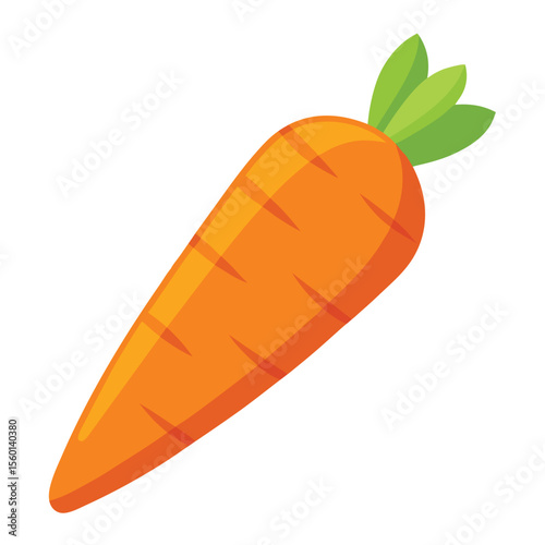 Carrot on white background