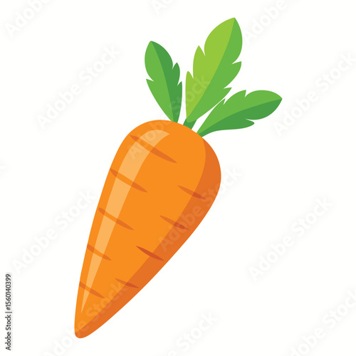 Carrot on white background