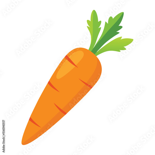 Carrot on white background